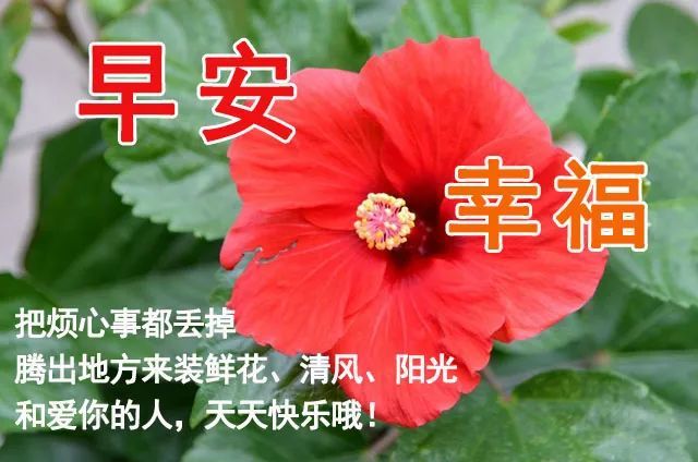 9月27日早上好最棒问候表情祝福语录清晨最美祝福美图