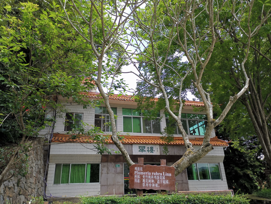 流溪河森林公園,從化流溪河森林公園游玩攻略[介紹+地址門票+開放時間+電話交通]---廣東旅游景點名勝古跡風(fēng)景區(qū)圖片(圖5)