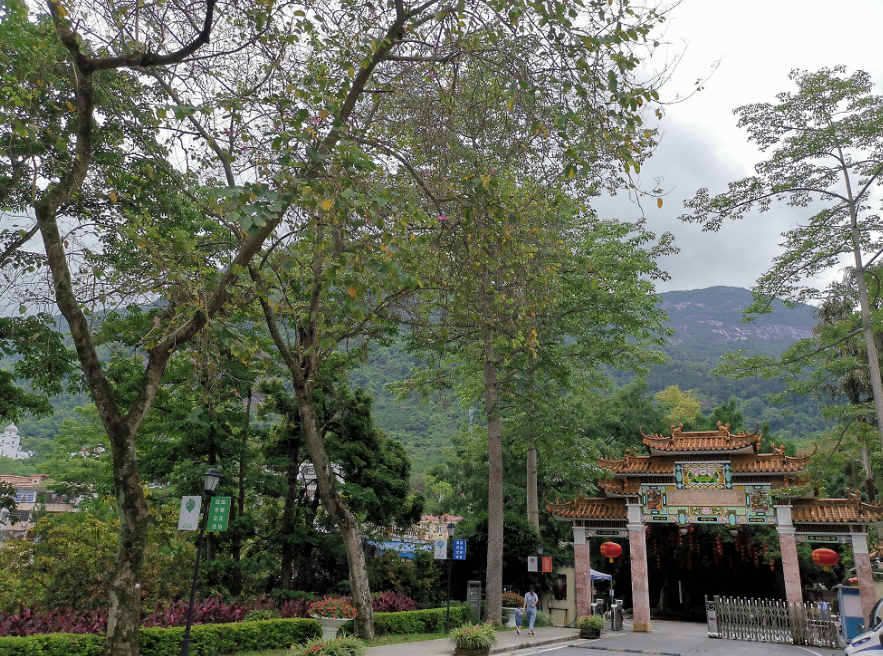 流溪河森林公園,從化流溪河森林公園游玩攻略[介紹+地址門票+開放時間+電話交通]---廣東旅游景點名勝古跡風(fēng)景區(qū)圖片(圖1)