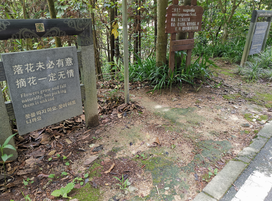 流溪河森林公園,從化流溪河森林公園游玩攻略[介紹+地址門票+開放時間+電話交通]---廣東旅游景點名勝古跡風(fēng)景區(qū)圖片(圖10)
