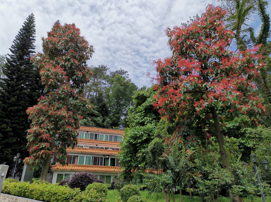 流溪河森林公園,從化流溪河森林公園游玩攻略[介紹+地址門票+開放時間+電話交通]---廣東旅游景點名勝古跡風(fēng)景區(qū)圖片(圖13)