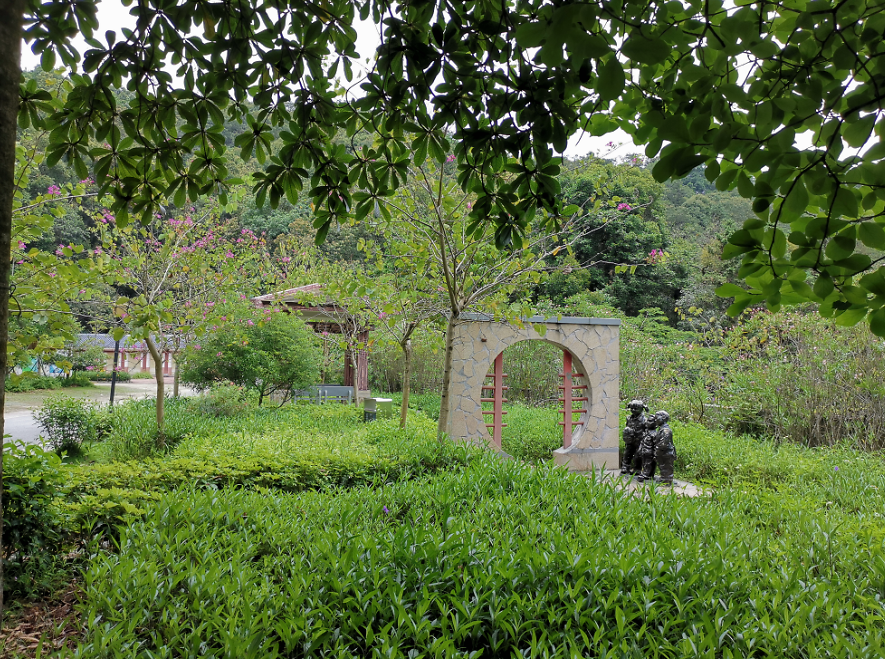 流溪河森林公園,從化流溪河森林公園游玩攻略[介紹+地址門票+開放時間+電話交通]---廣東旅游景點名勝古跡風(fēng)景區(qū)圖片(圖14)