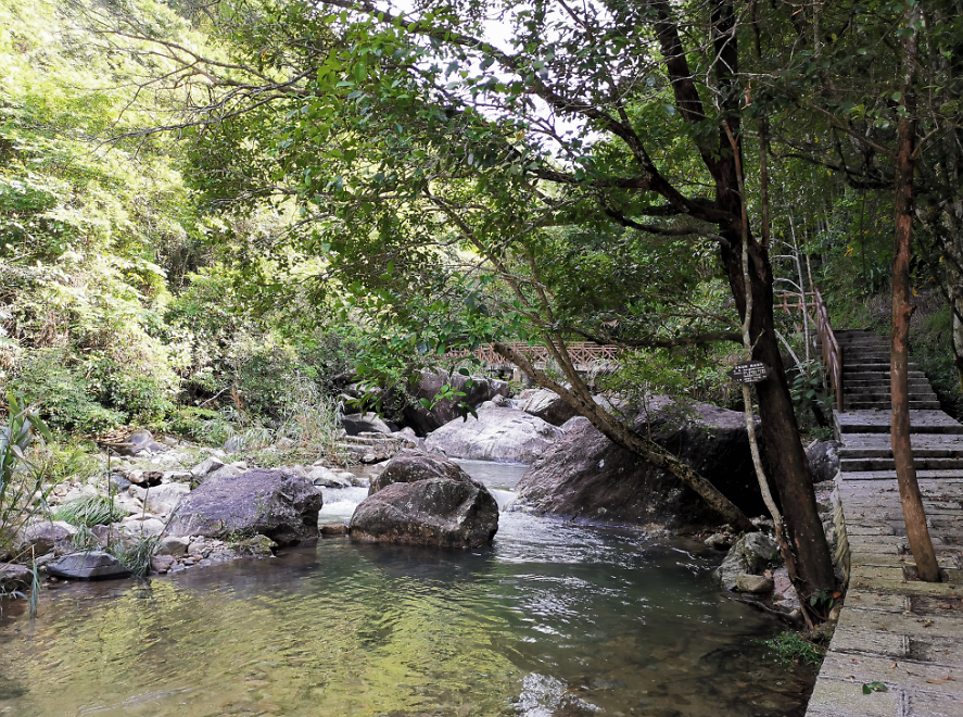 流溪河森林公園,從化流溪河森林公園游玩攻略[介紹+地址門票+開放時間+電話交通]---廣東旅游景點名勝古跡風(fēng)景區(qū)圖片(圖17)