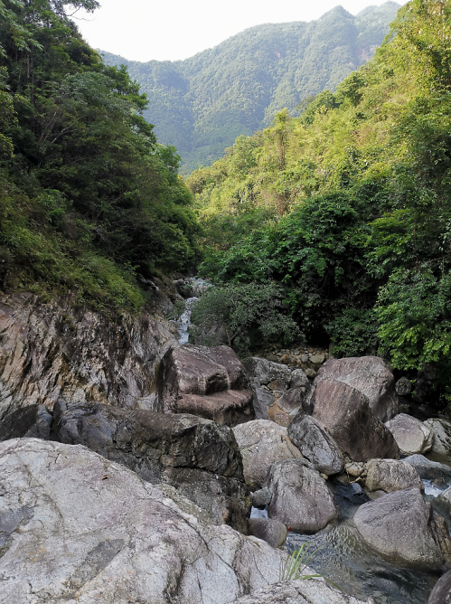 流溪河森林公園,從化流溪河森林公園游玩攻略[介紹+地址門票+開放時間+電話交通]---廣東旅游景點名勝古跡風(fēng)景區(qū)圖片(圖22)