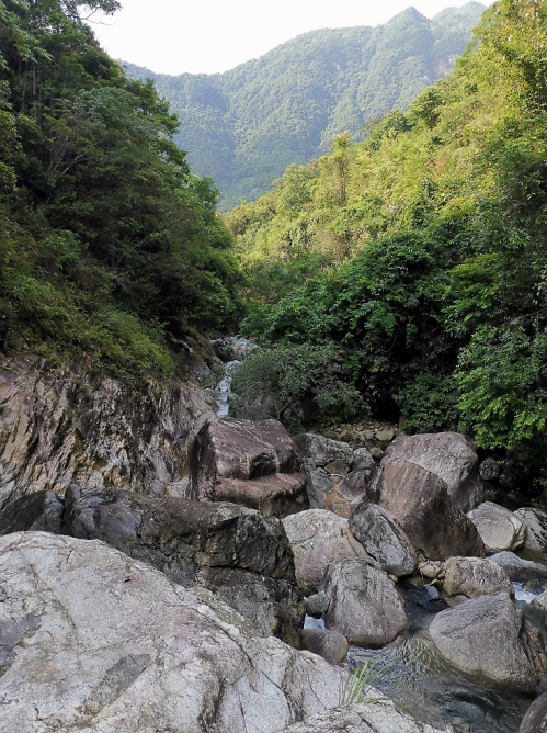 流溪河森林公园,从化流溪河森林公园游玩攻略[介绍+地址门票+开放时间+电话交通]---广东旅游景点名胜古迹风景区图片(图22)