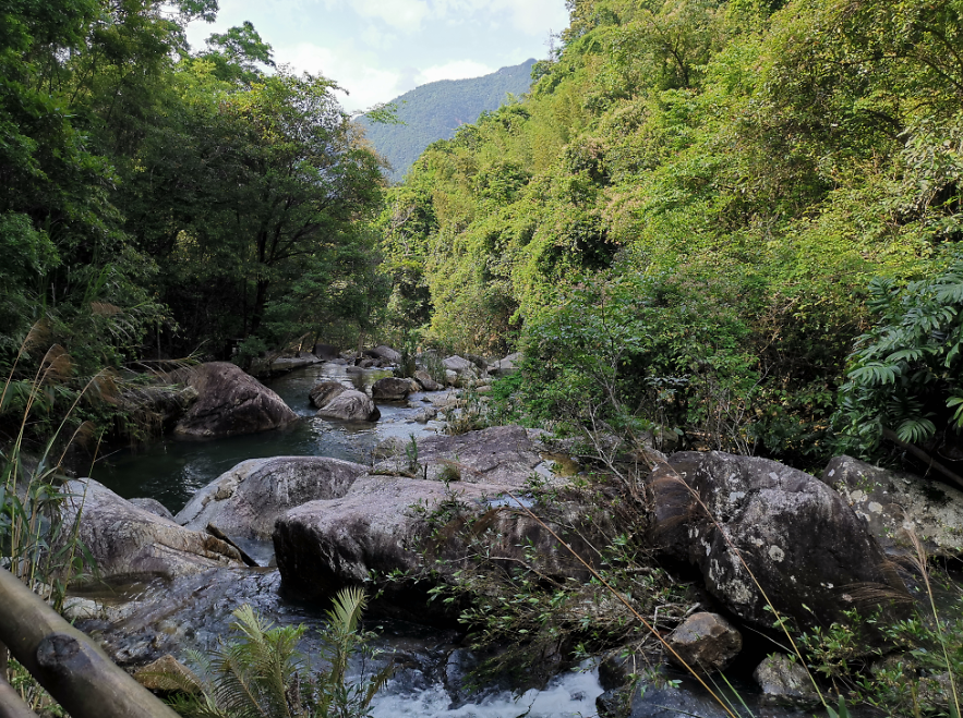 流溪河森林公園,從化流溪河森林公園游玩攻略[介紹+地址門票+開放時間+電話交通]---廣東旅游景點名勝古跡風(fēng)景區(qū)圖片(圖23)
