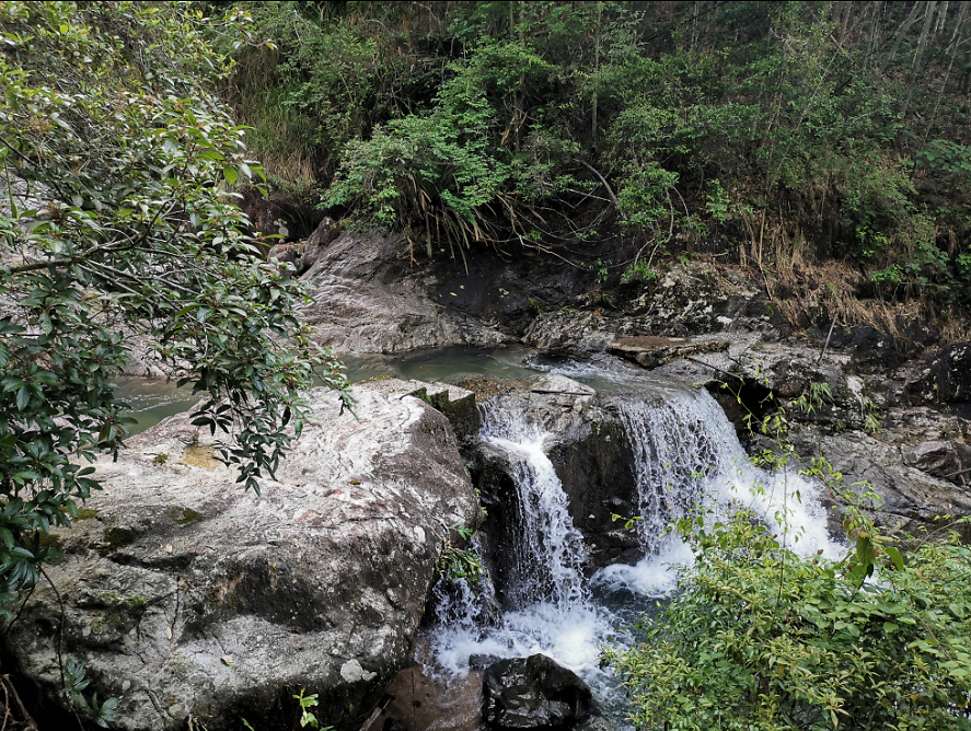 流溪河森林公園,從化流溪河森林公園游玩攻略[介紹+地址門票+開放時間+電話交通]---廣東旅游景點名勝古跡風(fēng)景區(qū)圖片(圖34)