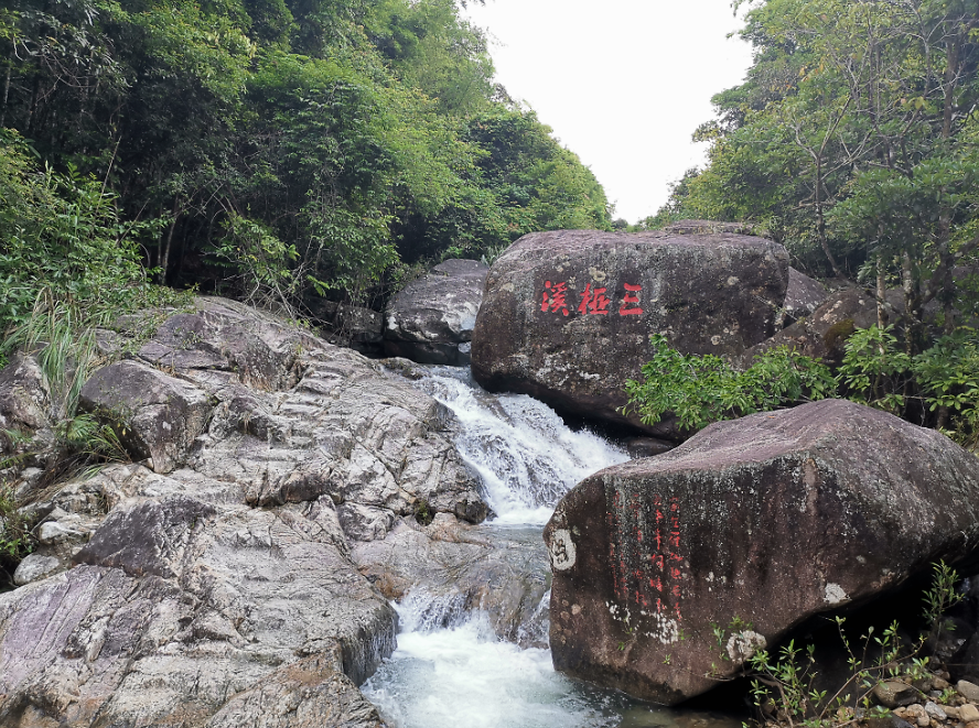流溪河森林公園,從化流溪河森林公園游玩攻略[介紹+地址門票+開放時間+電話交通]---廣東旅游景點名勝古跡風(fēng)景區(qū)圖片(圖37)