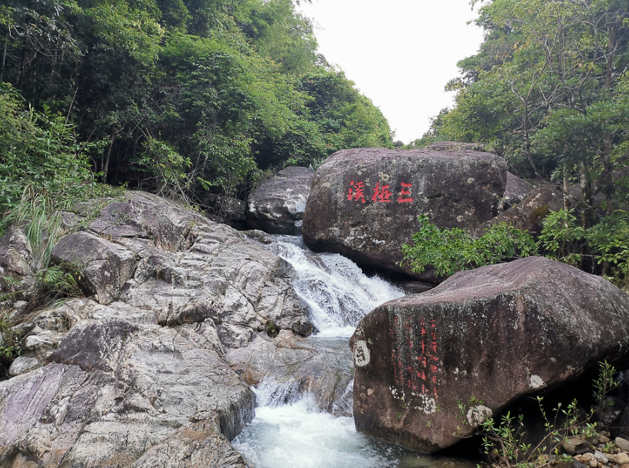 流溪河森林公园,从化流溪河森林公园游玩攻略[介绍+地址门票+开放时间+电话交通]---广东旅游景点名胜古迹风景区图片(图37)