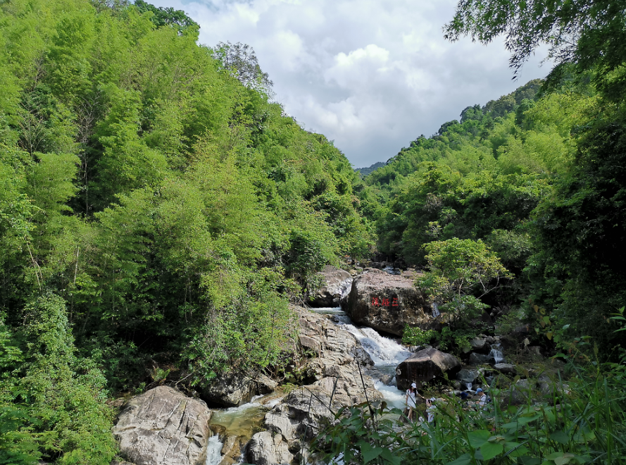 流溪河森林公園,從化流溪河森林公園游玩攻略[介紹+地址門票+開放時間+電話交通]---廣東旅游景點名勝古跡風(fēng)景區(qū)圖片(圖41)