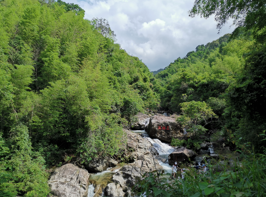 流溪河森林公园,从化流溪河森林公园游玩攻略[介绍+地址门票+开放时间+电话交通]---广东旅游景点名胜古迹风景区图片(图41)