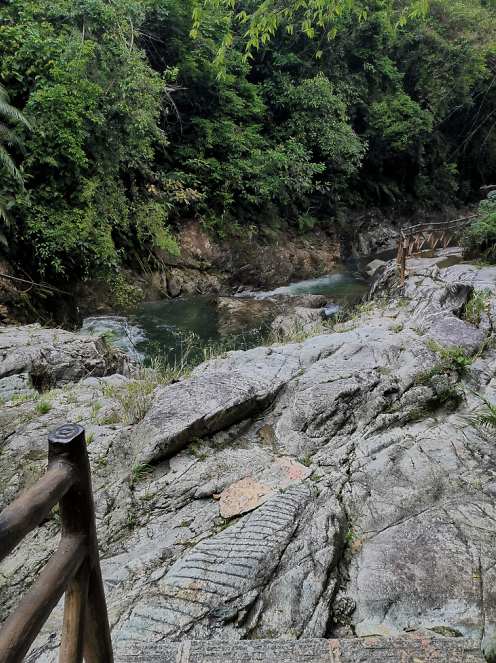 流溪河森林公園,從化流溪河森林公園游玩攻略[介紹+地址門票+開放時間+電話交通]---廣東旅游景點名勝古跡風(fēng)景區(qū)圖片(圖44)