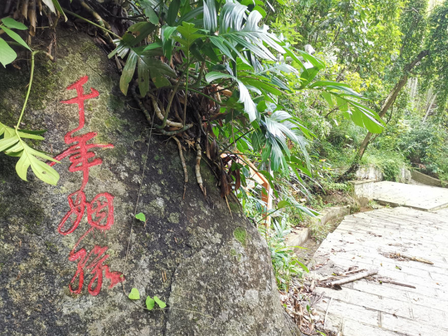 流溪河森林公園,從化流溪河森林公園游玩攻略[介紹+地址門票+開放時間+電話交通]---廣東旅游景點名勝古跡風(fēng)景區(qū)圖片(圖24)