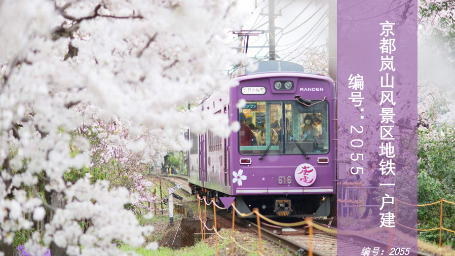 京都市右京区岚山风景区地铁一户建长租型3000万日元38 74 腾讯新闻