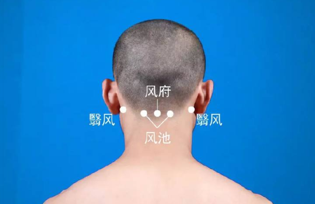 风池穴作为人体的重要穴位,能起到很好的通畅气血的作用,与风府穴一起