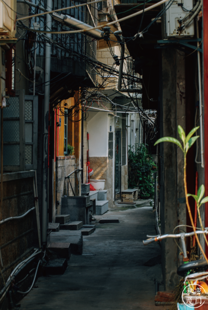走在厦门的街巷上感受这座城市的静谧安稳