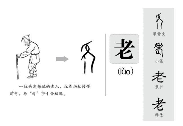 除了被陈果教授读错的耄耋还有哪些易错的老字多大才算老