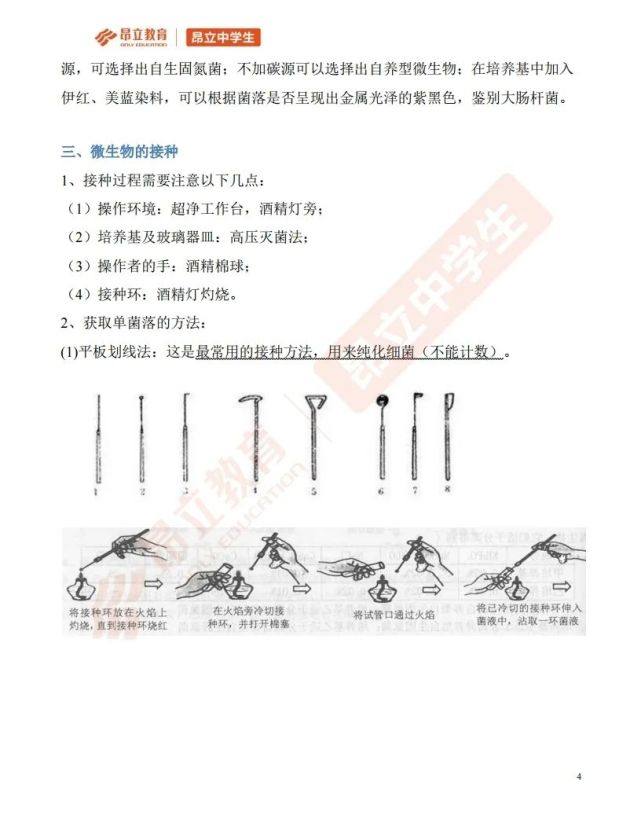 生物等级考综合题预测 微生物相关题型分析 微生物