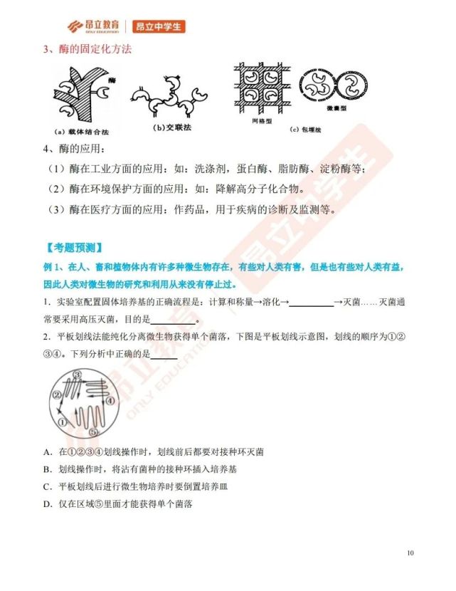 生物等级考综合题预测 微生物相关题型分析 微生物