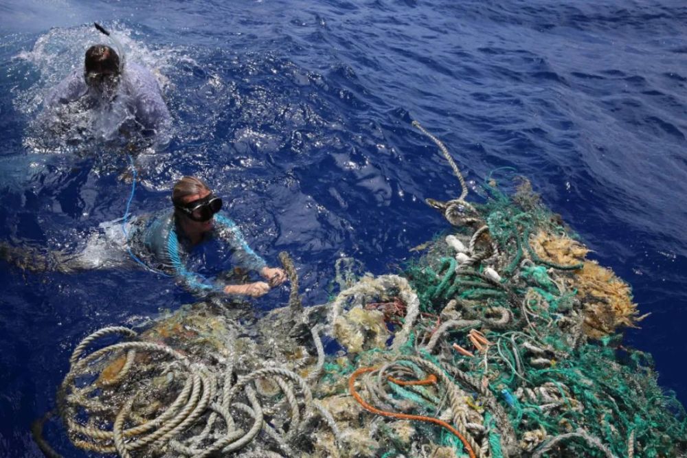 疫情下失控的垃圾:香港水域大量口罩漂浮上岸 百米海灘拾獲近70個