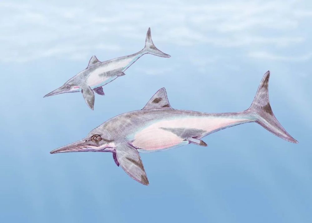 最后的鱼龙:见证中生代海洋家族的落幕