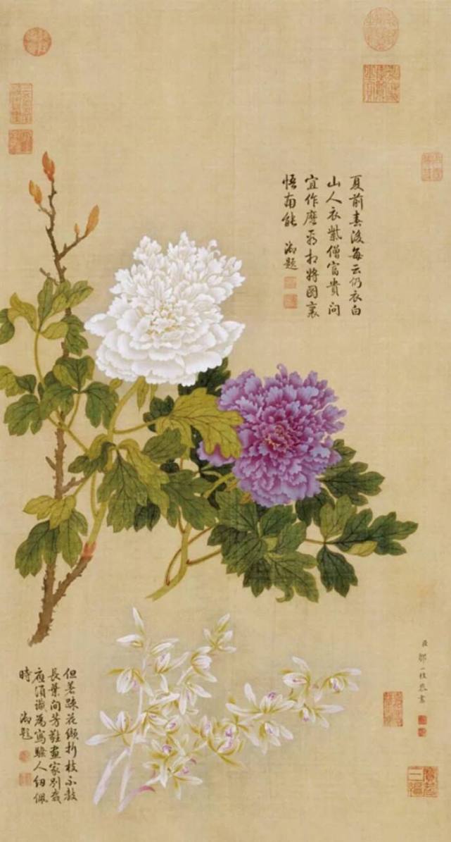 百家姓中的 花 姓是如何演化来的 腾讯网
