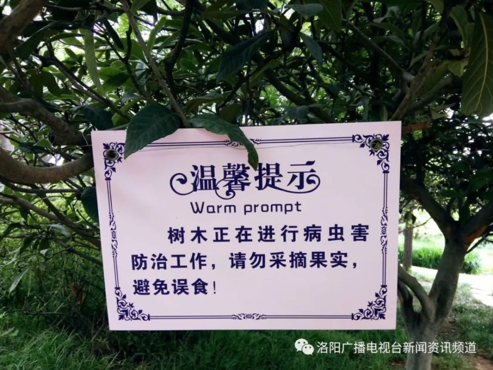 温馨提醒果实成熟莫采摘共同呵护文明果