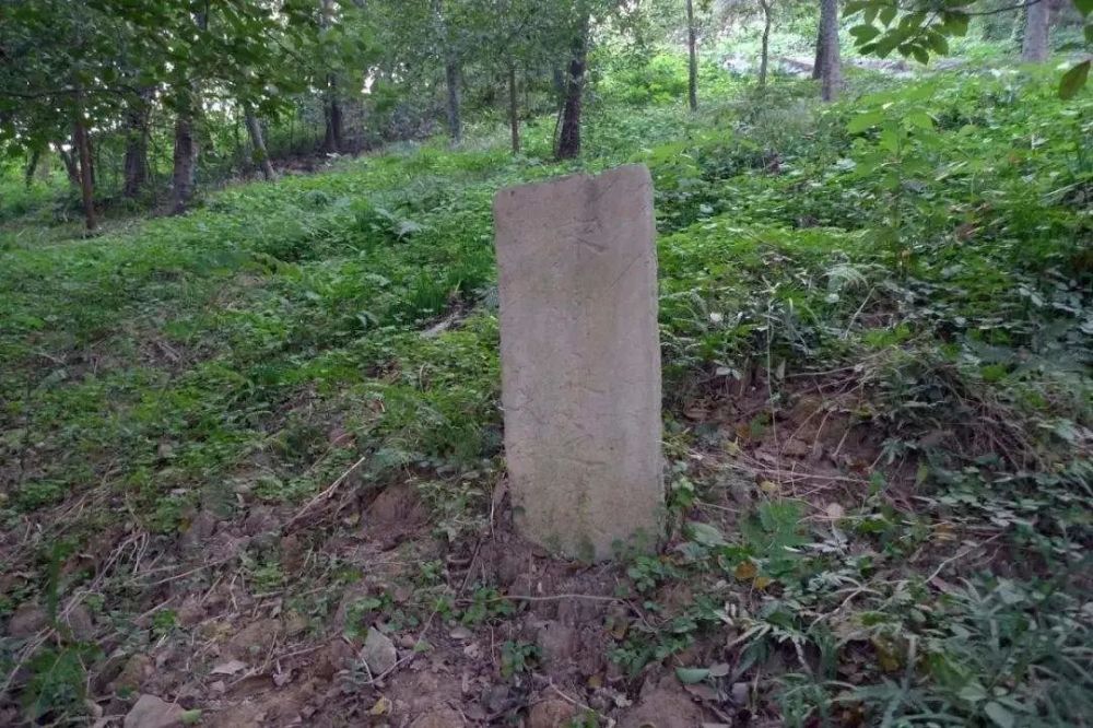 风尘女子为何爱拜柳永墓?_腾讯新闻