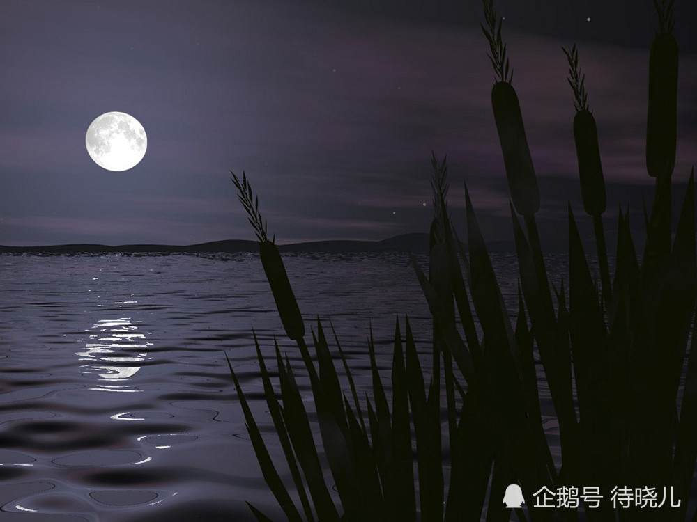 物种|为何在已知的物种里，只有人类进化出了高等级的现代文明？