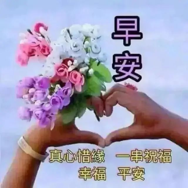 6月5日清晨群發早上好的祝福短信 暖心早上好問候語超好看的圖片