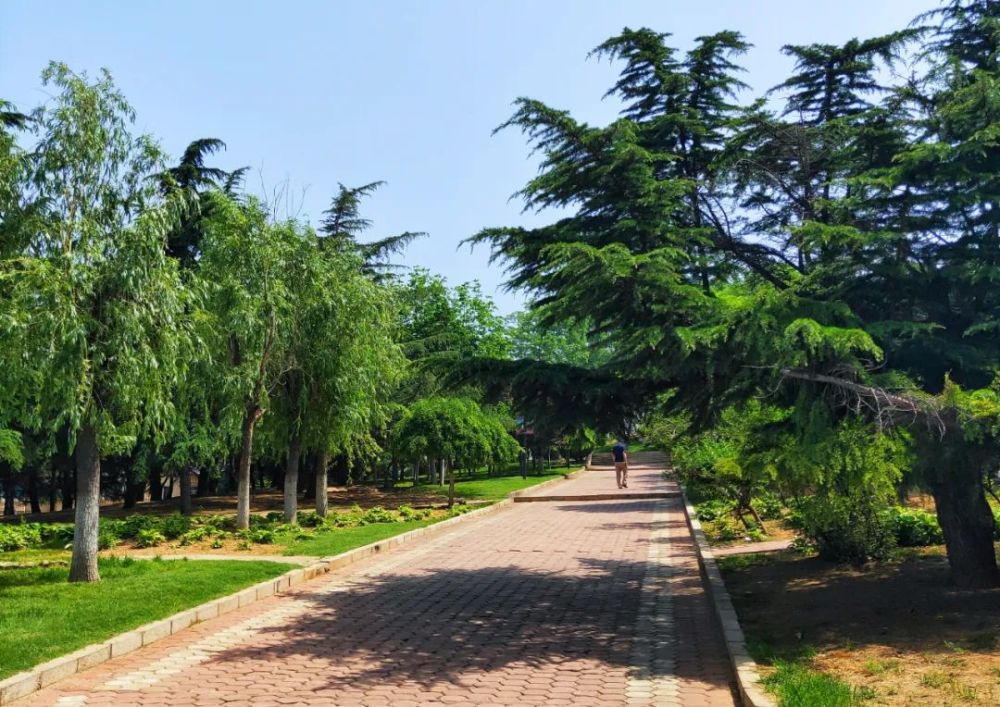 最美大连 鼎山公园