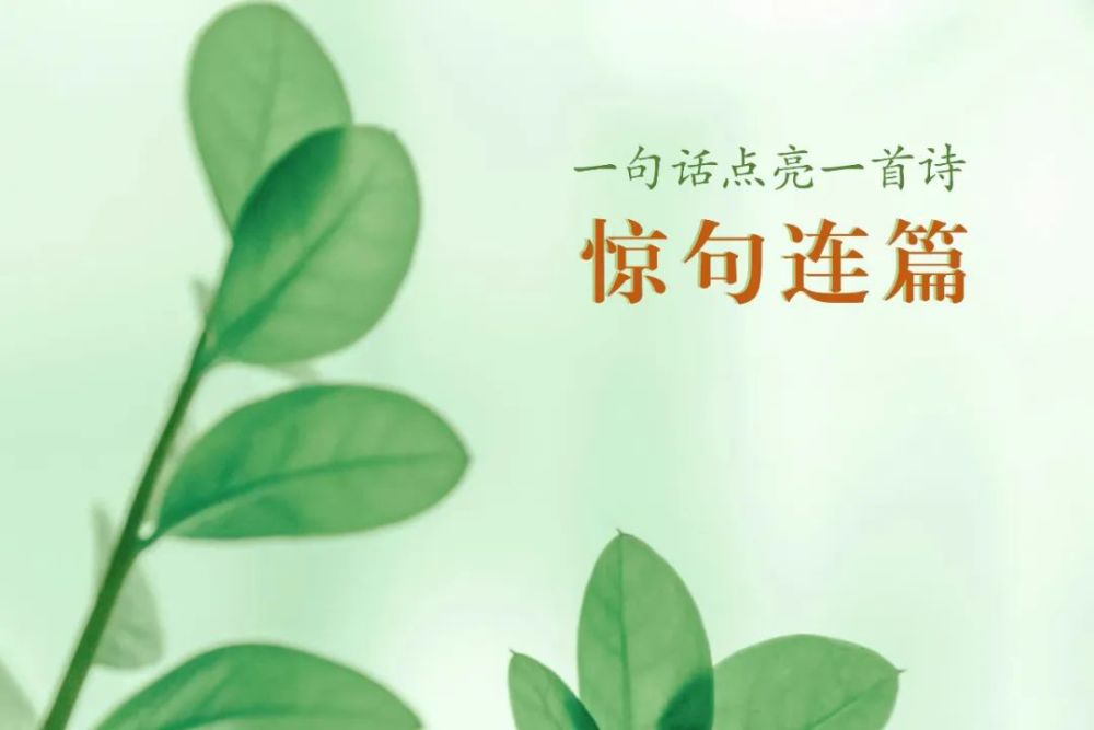 苏轼|通透诗人苏东坡，扔哪就在哪发芽