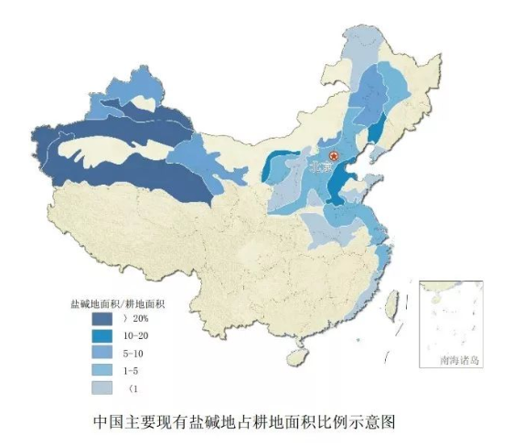 中国有如此多的盐碱地,所以盐碱地的改良以及新型粮食作物的栽培技术