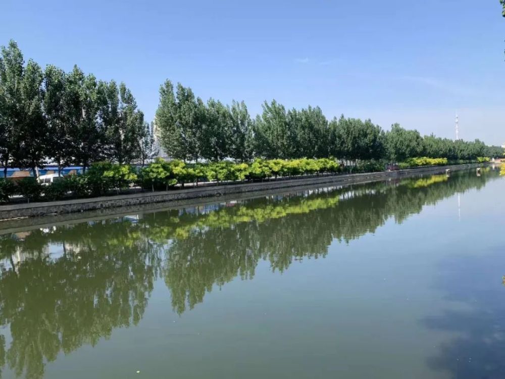 通过机械打捞,水下收割,人工捞草相结合的打捞方式开展河道水草打捞