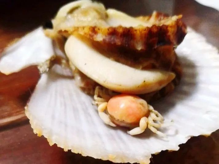 豆蟹藏匿在贝类中的迷你横行公子