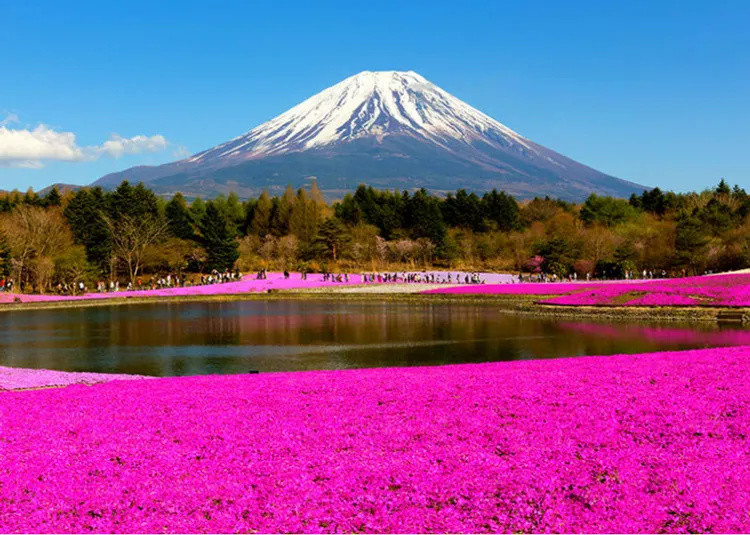 连日本人也不知道！精选12个关于富士山的秘密_腾讯新闻