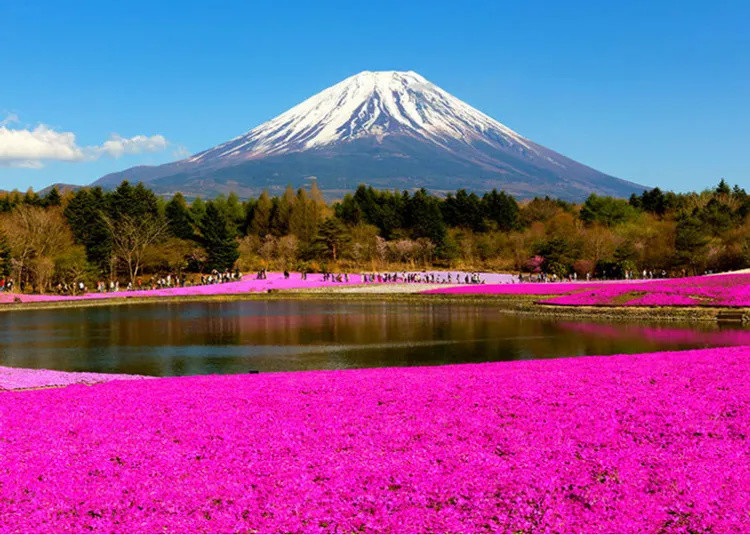 连日本人也不知道!精选12个关于富士山的秘密_腾讯新闻 连日本人也不知道!精选12个关于富士山的秘密_腾讯新闻