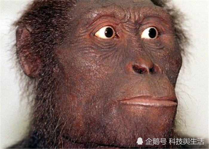 100万年后的人类,究竟会进化还是退化?模拟图太真实!