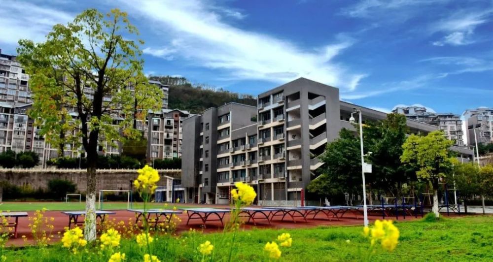 云阳县海峡小学2020年招生简章