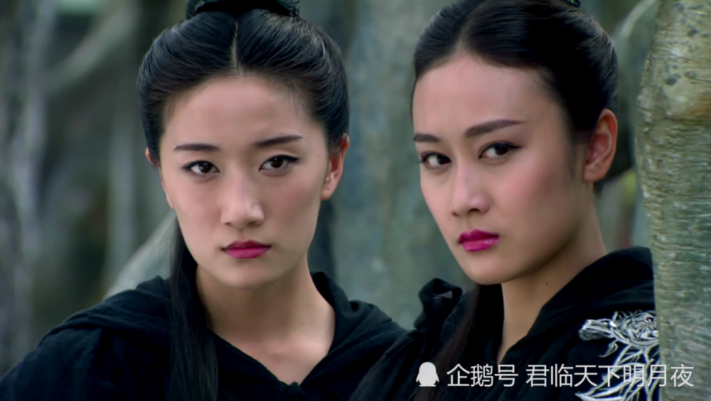 王语嫣伤感容颜易老的时候,恰好看到段誉身边的灵鹫宫四姝,也就是虚竹