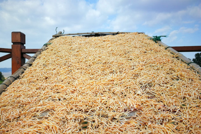 温岭番薯丝干制作过程