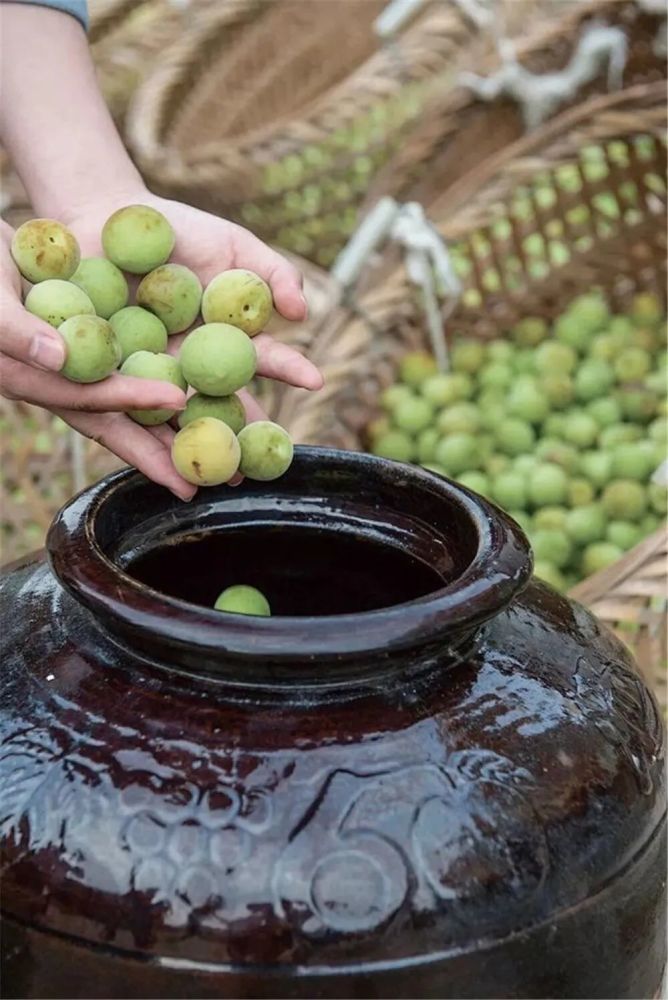 芒种煮梅静候一杯迎接夏天的最佳风味