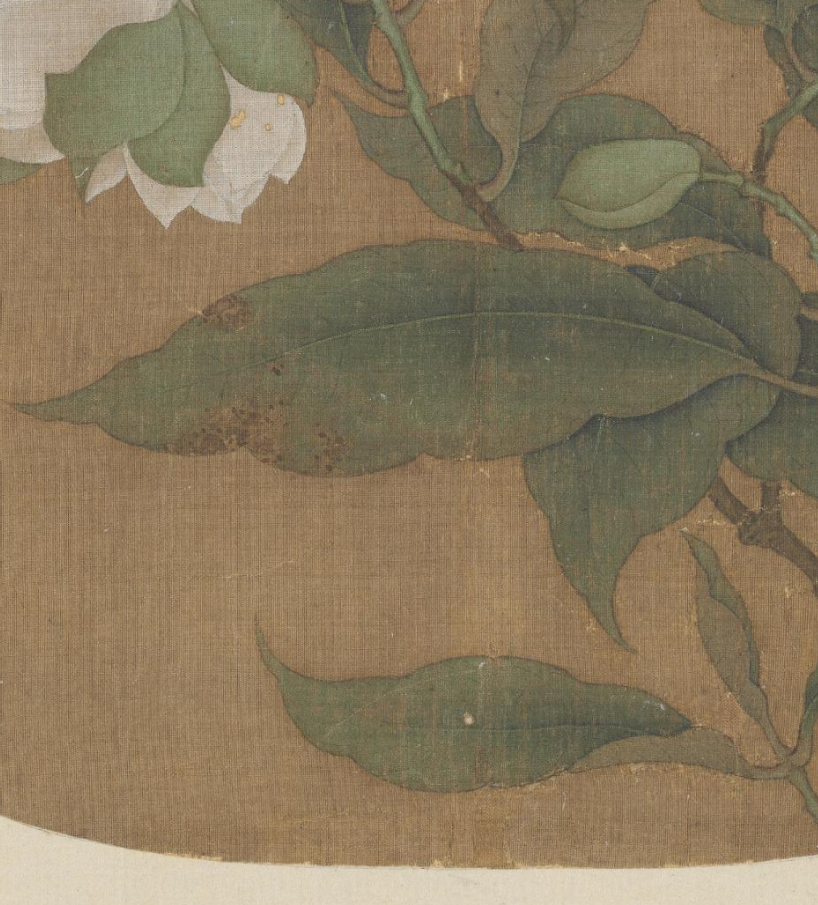 名画赏析宋夜合花图