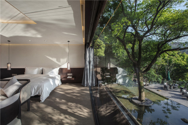 住在杭州的茶园民宿,假装自己是勤劳的茶农