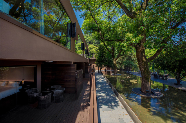 住在杭州的茶园民宿,假装自己是勤劳的茶农