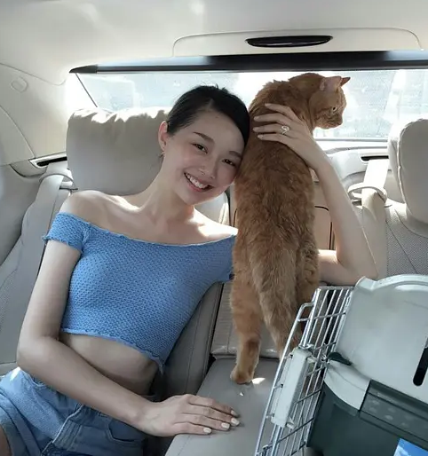 鞠婧祎|她们要是交出变美教程就不会被嘲了吧