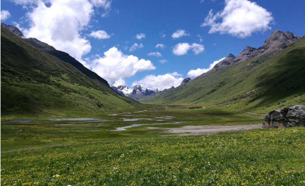 川西发现一条四川版 独库公路 穿越草原花海和雪山 又虐又美 腾讯新闻