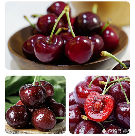 车厘子和樱桃有什么区别记住这几点就能区分出来