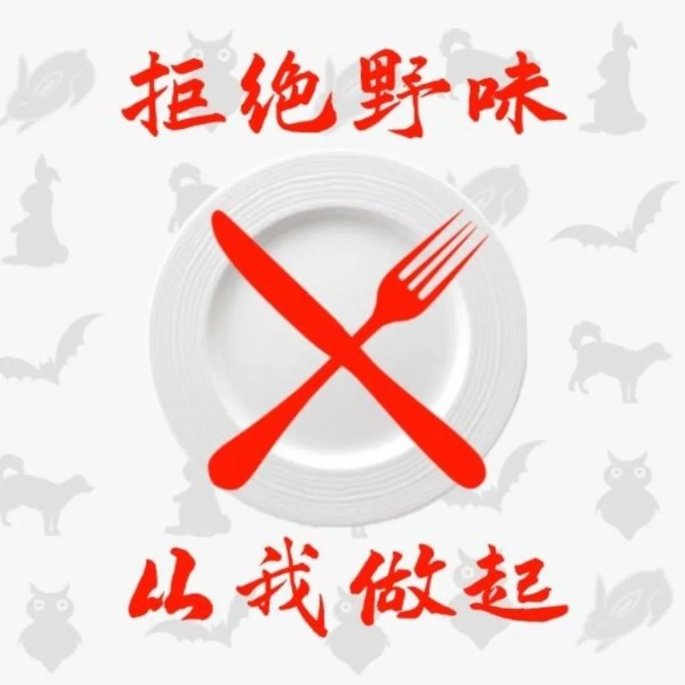 文明就餐,拒绝野味:龙山"禁食野味,推行公筷公勺"公益宣传_腾讯新闻