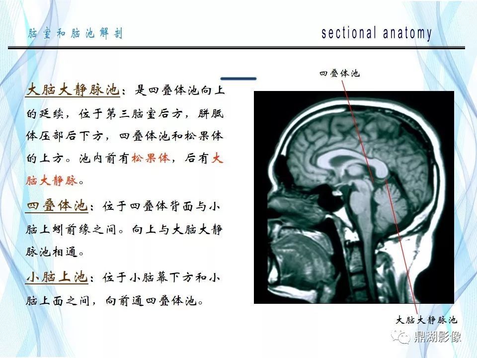 转发是最大的支持!免责申明本站所提供内容